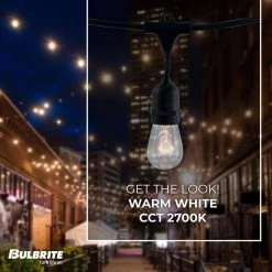 Outdoor/Indoor 48 ft. Plug-In S14 Bulb String Light with 15 Sockets-Bulbs included by Bulbrite -Deals Bulbrite Store black bulbrite string lights 810002 4f 1000