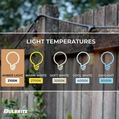 Outdoor/Indoor 48 ft. Plug-In A19 Bulb String Light with 15 Sockets-Bulbs included by Bulbrite -Deals Bulbrite Store black bulbrite string lights 810004 1f 1000
