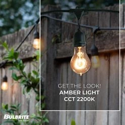 Outdoor/Indoor 48 ft. Plug-In A19 Bulb String Light with 15 Sockets-Bulbs included by Bulbrite -Deals Bulbrite Store black bulbrite string lights 810004 4f 1000