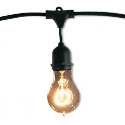 Outdoor/Indoor 48 ft. Plug-In A19 Bulb String Light with 15 Sockets-Bulbs included by Bulbrite