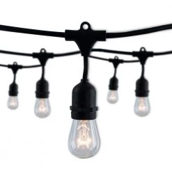 Outdoor/Indoor 14 ft. Plug-In S14 Bulb String Light with 10 Sockets-Bulbs included by Bulbrite