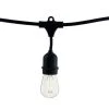 Outdoor/Indoor 14 ft. Plug-In S14 Bulb String Light with 10 Sockets-Bulbs included by Bulbrite -Deals Bulbrite Store black bulbrite string lights 810009 64 1000