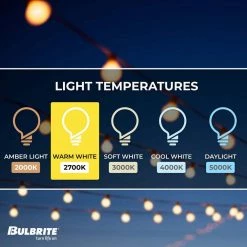 Outdoor/Indoor 14 ft. Plug-In G16 Bulb String Light with 10 Sockets-Bulbs included by Bulbrite -Deals Bulbrite Store black bulbrite string lights 810054 1f 1000