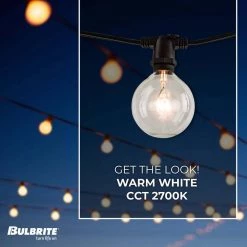 Outdoor/Indoor 14 ft. Plug-In G16 Bulb String Light with 10 Sockets-Bulbs included by Bulbrite -Deals Bulbrite Store black bulbrite string lights 810054 4f 1000