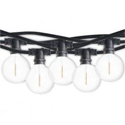 Outdoor/Indoor 14 ft. Plug-In Globe Bulb G16 Shatter Resistant LED Black String Light With 10 Sockets-Bulbs Included by Bulbrite