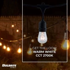 Outdoor/Indoor 48 ft. Plug-in Edison Bulb S14 Vintage Style LED Black String Light with 15 sockets-Bulbs included by Bulbrite 15 Outdoor/Indoor 48 ft. Plug-in Edison Bulb S14 Vintage Style LED Black String Light with 15 sockets-Bulbs included by Bulbrite -Deals Bulbrite Store black bulbrite string lights 812482 4f 1000
