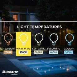 Outdoor/Indoor 48 ft. Plug-in Edison Bulb S14 Shatter Resistant LED Black String Light with 15 sockets-Bulbs included by Bulbrite 13 Outdoor/Indoor 48 ft. Plug-in Edison Bulb S14 Shatter Resistant LED Black String Light with 15 sockets-Bulbs included by Bulbrite -Deals Bulbrite Store black bulbrite string lights 812483 1f 1000