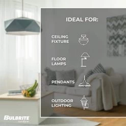 60-Watt Equivalent G40 Clear Dimmable Edison LED Light Bulb Warm White (2-Pack) by Bulbrite -Deals Bulbrite Store bulbrite edison bulbs 861573 44 1000