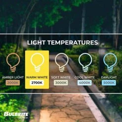 60-Watt Equivalent Dimmable ST18 Vintage Edison LED Light Bulb with Medium (E26) Base, 2700K, (8-Pack) by Bulbrite -Deals Bulbrite Store bulbrite edison bulbs 861618 1f 1000