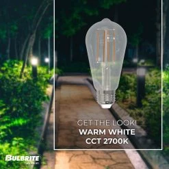 60-Watt Equivalent Dimmable ST18 Vintage Edison LED Light Bulb with Medium (E26) Base, 2700K, (8-Pack) by Bulbrite -Deals Bulbrite Store bulbrite edison bulbs 861618 4f 1000