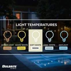 60-Watt Equivalent Dimmable ST18 Vintage Edison LED Light Bulb with Medium (E26) Base, 3000K, (8-Pack) by Bulbrite -Deals Bulbrite Store bulbrite edison bulbs 861619 1f 1000