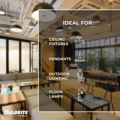 60-Watt Equivalent Dimmable ST18 Vintage Edison LED Light Bulb with Medium (E26) Base, 3000K, (8-Pack) by Bulbrite -Deals Bulbrite Store bulbrite edison bulbs 861619 44 1000