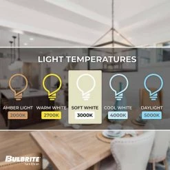 Mini 20-Watt Equivalent T3 with Bi-Pin Base G4 in Clear Finish Dimmable Soft White 2900K Halogen Light Bulb (10-Pack) by Bulbrite -Deals Bulbrite Store bulbrite halogen bulbs 860781 1f 1000
