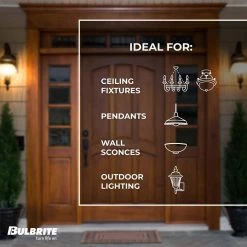 Mini 500-Watt Equivalent T4 with Mini-Candelabra Base E11 in Clear Finish Dimmable 2900K Halogen Light Bulb(5-Pack) by Bulbrite 13 Mini 500-Watt Equivalent T4 with Mini-Candelabra Base E11 in Clear Finish Dimmable 2900K Halogen Light Bulb(5-Pack) by Bulbrite -Deals Bulbrite Store bulbrite halogen bulbs 860806 44 1000