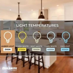 60-Watt Beehive Incadescent Medium Base (E26) Grand Filament Light Bulb Nostalgic 2200k (1-Pack) by Bulbrite -Deals Bulbrite Store bulbrite incandescent light bulbs 137601 1f 1000