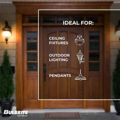 60-Watt Beehive Incadescent Medium Base (E26) Grand Filament Light Bulb Nostalgic 2200k (1-Pack) by Bulbrite -Deals Bulbrite Store bulbrite incandescent light bulbs 137601 44 1000