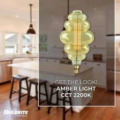 60-Watt Beehive Incadescent Medium Base (E26) Grand Filament Light Bulb Nostalgic 2200k (1-Pack) by Bulbrite -Deals Bulbrite Store bulbrite incandescent light bulbs 137601 4f 1000