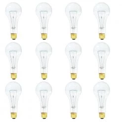 200-Watt A23 Dimmable Warm White Light Incandescent Light Bulb (12-Pack) by Bulbrite