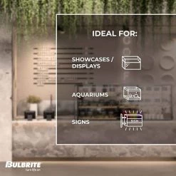 75-Watt T8 Incandescent Light Bulb Medium Base (E26) Clear 2700K (5-Pack) by Bulbrite 13 75-Watt T8 Incandescent Light Bulb Medium Base (E26) Clear 2700K (5-Pack) by Bulbrite -Deals Bulbrite Store bulbrite incandescent light bulbs 861148 44 1000