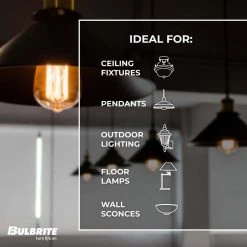 60-Watt Equivalent BH with Medium Screw Base E26 in Gunmetal Finish Dimmable 2200K Incandescent Light Bulb 12-Pack by Bulbrite -Deals Bulbrite Store bulbrite incandescent light bulbs 861167 44 1000