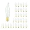 7.5-Watt CA5 Clear Dimmable (E12) Candelabra Screw Base Warm White Light Incandescent Light Bulb, 2700K (50-Pack) by Bulbrite -Deals Bulbrite Store bulbrite incandescent light bulbs 861260 64 1000