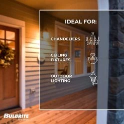 25-Watt ST15 Dimmable Candelabra Base (E12) Incandescent Light Bulb Antique Nostalgic Thread 2200K (4-Pack) by Bulbrite 13 25-Watt ST15 Dimmable Candelabra Base (E12) Incandescent Light Bulb Antique Nostalgic Thread 2200K (4-Pack) by Bulbrite -Deals Bulbrite Store bulbrite incandescent light bulbs 861370 44 1000