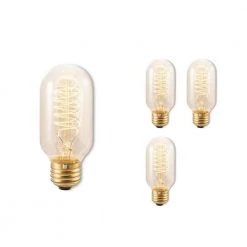 40-Watt T14 Incandescent Light Bulb Medium Base (E26) Antique Nostalgic Thread 2200K (4-Pack) by Bulbrite