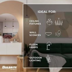 15-Watt B8 Clear Dimmable Candelabra Base (E12) Incandescent Light Bulb 2700K (50-Pack) by Bulbrite -Deals Bulbrite Store bulbrite incandescent light bulbs 861984 44 1000