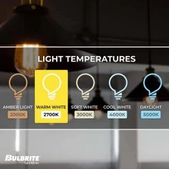60W Equivalent Warm White Light ST18 Dimmable LED Filament Light Bulb (2-Pack) by Bulbrite -Deals Bulbrite Store bulbrite led light bulbs 861422 1f 1000