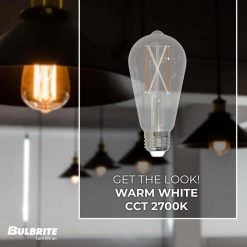 60W Equivalent Warm White Light ST18 Dimmable LED Filament Light Bulb (2-Pack) by Bulbrite -Deals Bulbrite Store bulbrite led light bulbs 861422 4f 1000