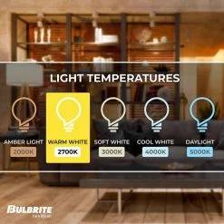 60-Watt Equivalent G40 Milky Dimmable Decorative Filament LED Light Bulb Warm White (2-Pack) by Bulbrite -Deals Bulbrite Store bulbrite led light bulbs 861597 1f 1000
