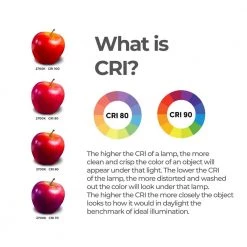 100-Watt Equivalent A19 Dimmable GU24 Twist and Lock base LED Light Bulb 2700K in Frost (4-Pack) by Bulbrite 10 100-Watt Equivalent A19 Dimmable GU24 Twist and Lock base LED Light Bulb 2700K in Frost (4-Pack) by Bulbrite -Deals Bulbrite Store bulbrite led light bulbs 862738 4f 1000