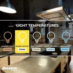 120 Watt equivalent PAR38 with Medium Screw Base E26 Dimmable 2700K LED Light Bulb 2-Pack by Bulbrite -Deals Bulbrite Store white bulbrite led light bulbs 861749 1f 1000